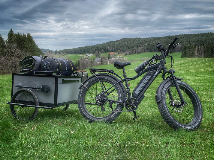 Himiway D3 - Cruiser - Image 8