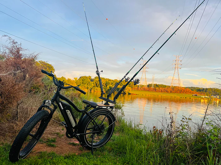 Himiway D3 - Cruiser - Image 9