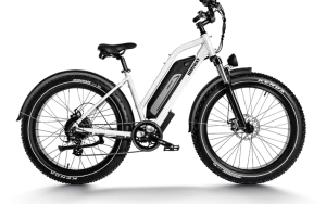 Himiway  D3 ST - Cruiser