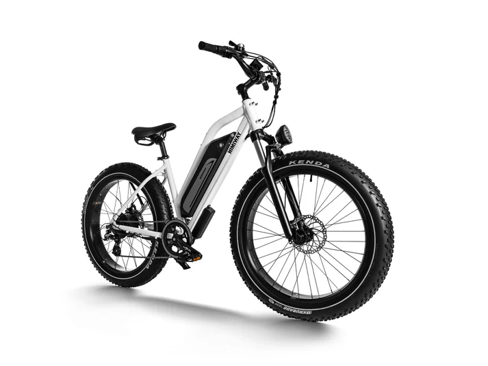 Himiway  D3 ST - Cruiser - Image 2