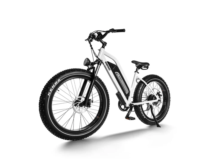Himiway  D3 ST - Cruiser - Image 3