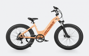 Velowave Rover