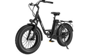 Hiboy EX6