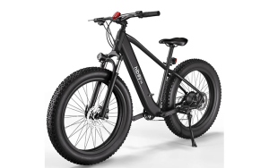 Hiboy P6