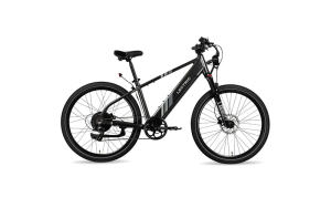 Lectric XPress